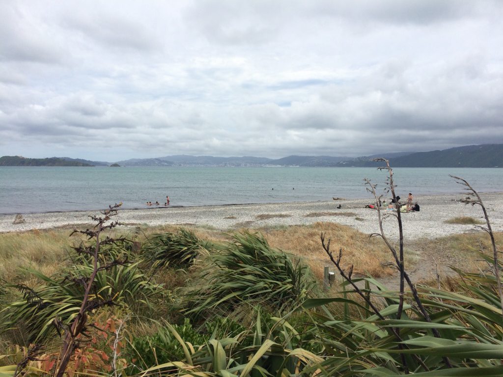 petone_beach_nz